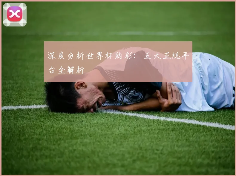 深度分析世界杯购彩：五大正规平台全解析