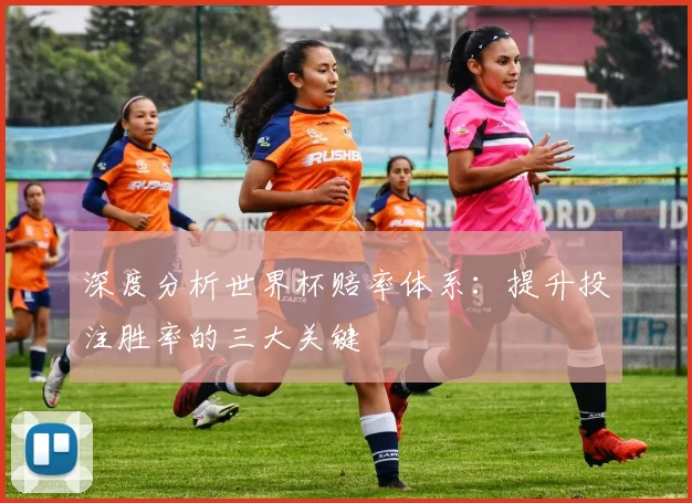 深度分析世界杯赔率体系：提升投注胜率的三大关键