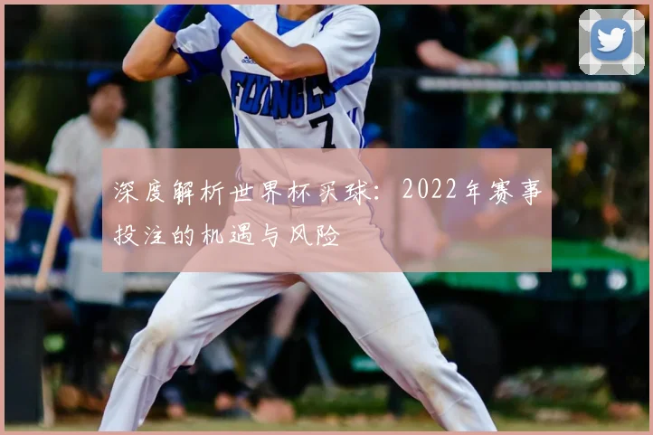 深度解析世界杯买球：2022年赛事投注的机遇与风险