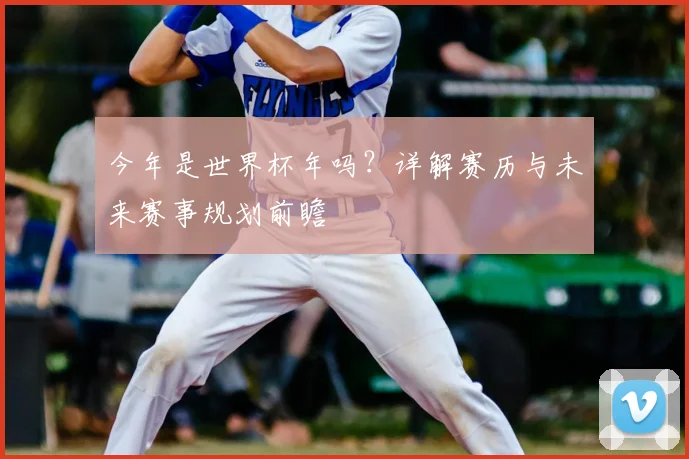 今年是世界杯年吗？详解赛历与未来赛事规划前瞻